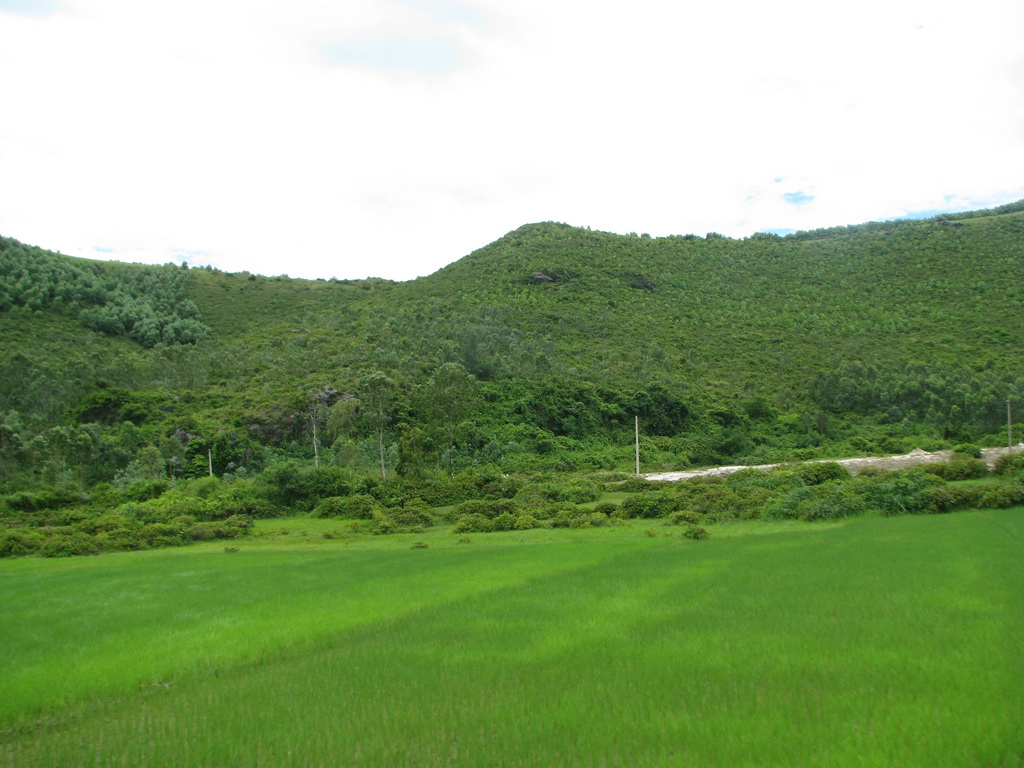Zoning Beach Resort Loc Ha