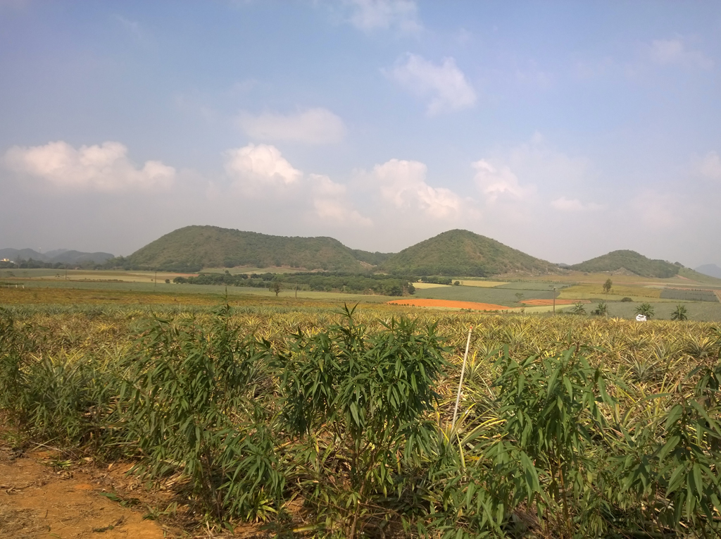 Khu quảng trường, tượng đài, đền thờ hoàng đế Quang Trung và công viên văn hóa thị xã Tam Điệp_Quy hoạch chi tiết tỷ lệ 1/500